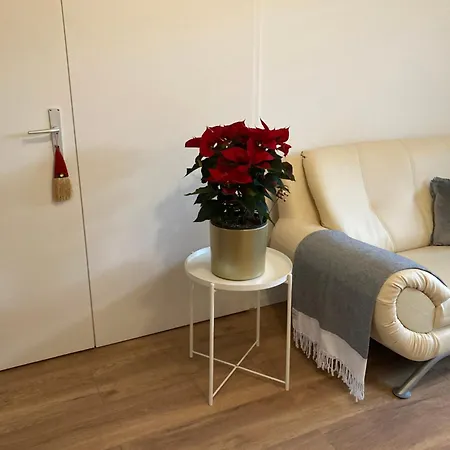 Apartamento Geraeumige Bei Basel Grenzach-Wyhlen
