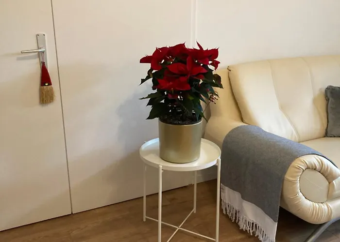 Apartment Geraeumige Bei Basel Grenzach-Wyhlen